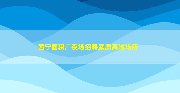 西宁面积广夜场招聘素质高端场所
